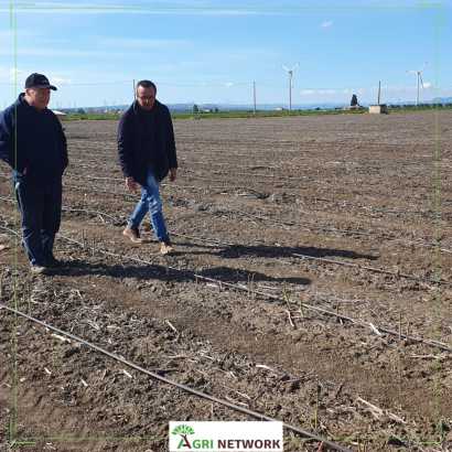 Agri Network e Limgroup in campo