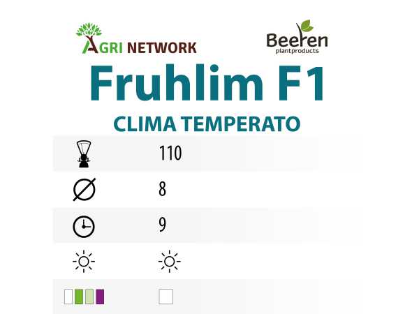 ZAMPE D'ASPARAGO FRUHLIM F1