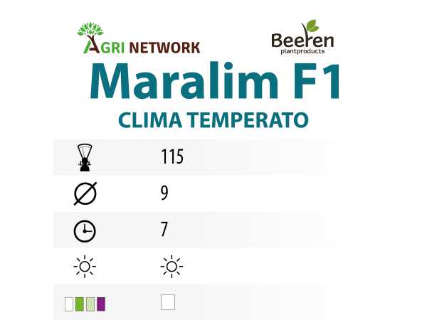 ZAMPE D'ASPARAGO MARALIM F1
