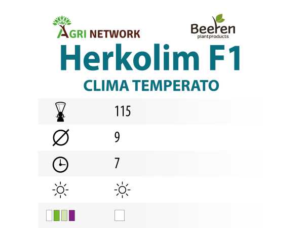 ZAMPE D'ASPARAGO HERKOLIM F1