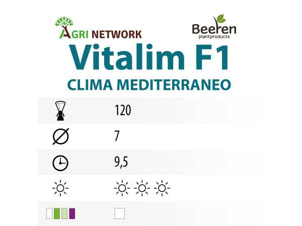 ZAMPE D'ASPARAGO VITALIM F1