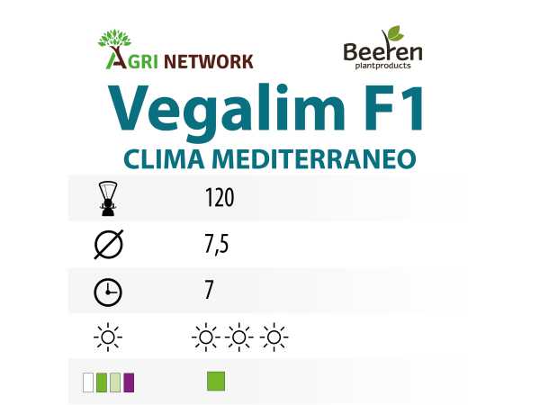 ZAMPE D'ASPARAGO VEGALIM F1
