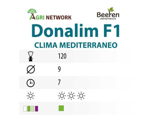 ZAMPE D'ASPARAGO DONALIM (K3979) F1